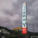 천생산오리사냥 이미지