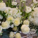 잎소아청소년과의원 이미지