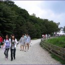 봉평메밀나라 이미지