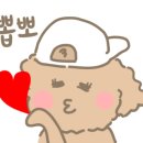세화카페텐더럽