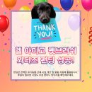 주식회사 펫프로젝트 이미지