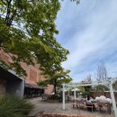 카페나인 이미지