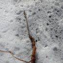 안골자동차정비센타 이미지