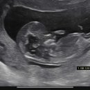 햇빛병원 이미지