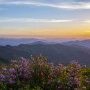 지리산 이미지