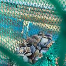 부산해양경찰서
명지파출소 이미지