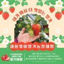 국가대표 정태권도 이미지