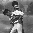 을사조약인가, 을사늑약인가? 이미지