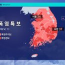 비룡 | 소탈한 일상, 그리고 아이들이 자라는 시간 ㅣ교동면옥 포항점 &amp; 포항 비룡 후기