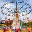 대일카랜드 이미지