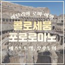 베스파정육점 | 이탈리아 로마 콜로세움 포로로마노 투어 추천 – 오후 코스 솔직 후기 내돈내산 (마이리얼트립 여행톡톡)