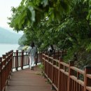 장성호수변길 이미지