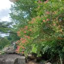 삼아어산 이미지