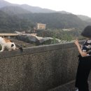 예스투어 이미지