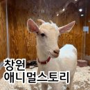 내서읍1320 이미지