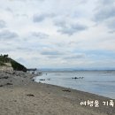 호미반도 해안둘레길 공중화장실 네이버블로그