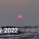 안면도덤앤더머 이미지