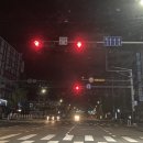 카페이륜당두정점