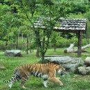 백두대간한옥펜션 이미지