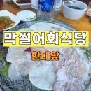 막썰어회식당 | 진짜 회맛이 있다, 막썰어회 — 노포 감성 가득한 맛집 후기