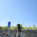 아라뱃길자전거대여소 | 인천 경인아라뱃길 자전거 대여소 : 두바퀴로떠나는여행