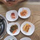 마산 진동 맛집 손가네맛집 짜글이 제돈 주고 사먹은 후기