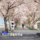 사림리 | 구례 벚꽃 명소 추천 서시천 벚꽃길 구례 벚꽃 명소 산책 코스