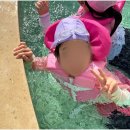 거룡태권도장 이미지