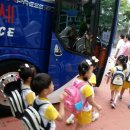 버클리명문유치원 이미지