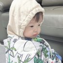 엘림카시트 이미지