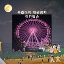 속초소중한날 | 아이랑 속초아이대관람차 야경 야간탑승 후기
