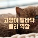 육구공구