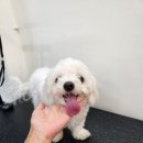 바다미용실 이미지