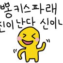 네르하쏠 네이버블로그
