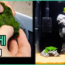 30CUBE아쿠아 네이버블로그