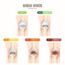 (주)라인호텔명동 이미지