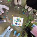 숲생태유치원 | [공지] 키즈카페 대신 숲을 선택한 이유l 동고비 생태학교 가족숲체험후기