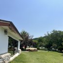 여긴어디강릉사기막 | 강릉여행 1992사기막 돈까스맛집 아기랑갈만한곳 추천