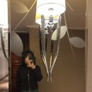 그린자동차랜드 | 혼자 상해 - 3 디즈니 랜드