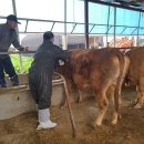 전일병농장 이미지