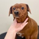 멈머링(mummuring) 이미지