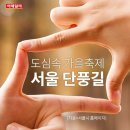 서울단풍길 Daum카페