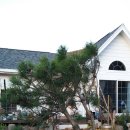 대안1길 이미지