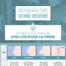 닥터미성형외과의원 이미지