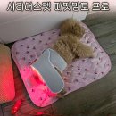 황토조아 | 시리어스펫 따땃망토 프로 7일간 직접 사용해 봤어요 강아지 근적외선 온열 찜질기기