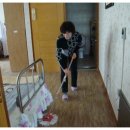 이화상조 이미지