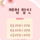 노아폴댄스 이미지