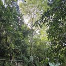 반딧불안경 이미지