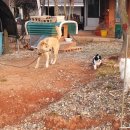 동네농장 이미지