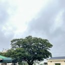 (합)하나로택시 이미지